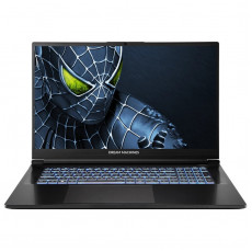 Ноутбук Dream Machines RG5050-17 (RG5050-17UA29) Black