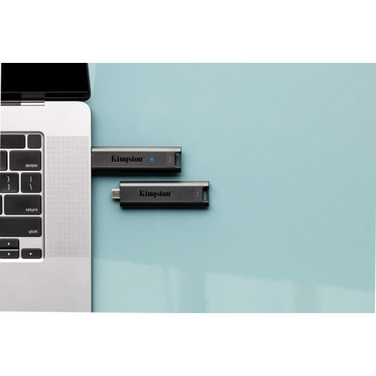 Флеш-накопичувач USB3.2 256GB Type-C Kingston DataTraveler Max Black (DTMAX/256GB)