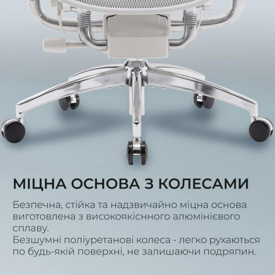 Крісло офісне Sihoo Doro S300 Mesh Light Grey (S300-M202)