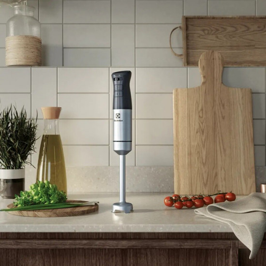 Блендер Electrolux E5HB1-6SS