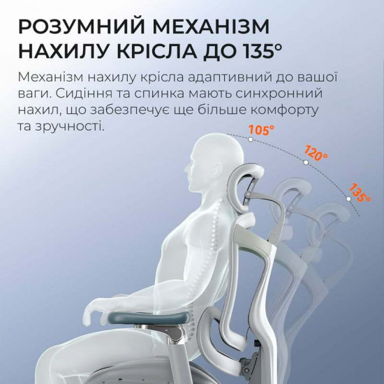 Крісло офісне Sihoo Doro C300 Pro Mesh White (DORO-C300-PRO-M102)