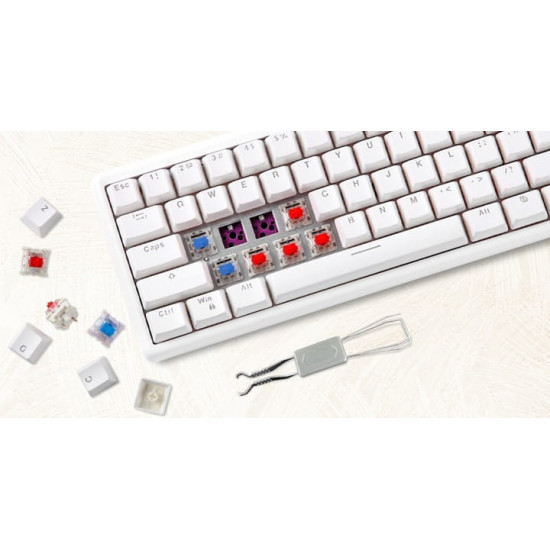 Клавіатура бездротова Motospeed SK66 Gateron Blue Hot Swap White (mtsk66wmb)