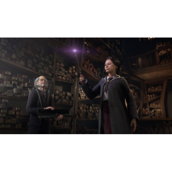 Гра Hogwarts Legacy для PlayStation 5, Blu-ray (1194246)