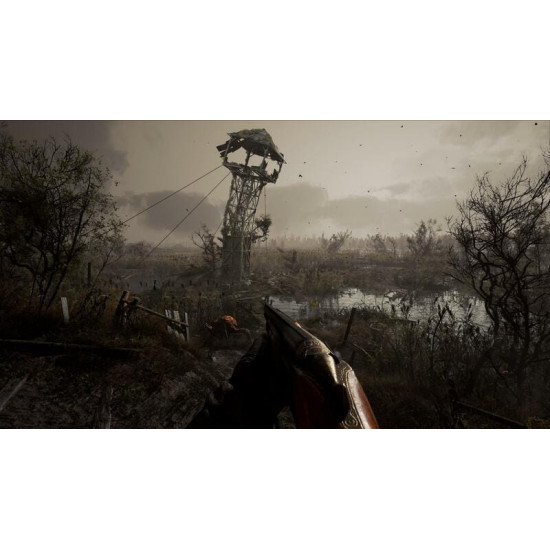 Гра S.T.A.L.K.E.R. 2 Standard Edition для PC, код активації (1137171)