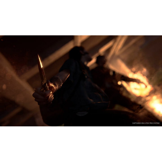 Гра The Last of us II для Sony PlayStation 4, Russian version, Blu-ray (9702092)