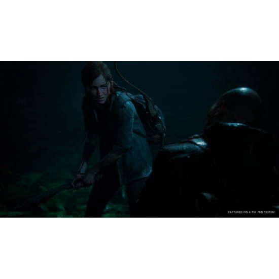 Гра The Last of us II для Sony PlayStation 4, Russian version, Blu-ray (9702092)