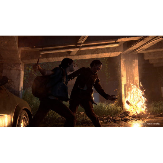 Гра The Last of us II для Sony PlayStation 4, Russian version, Blu-ray (9702092)