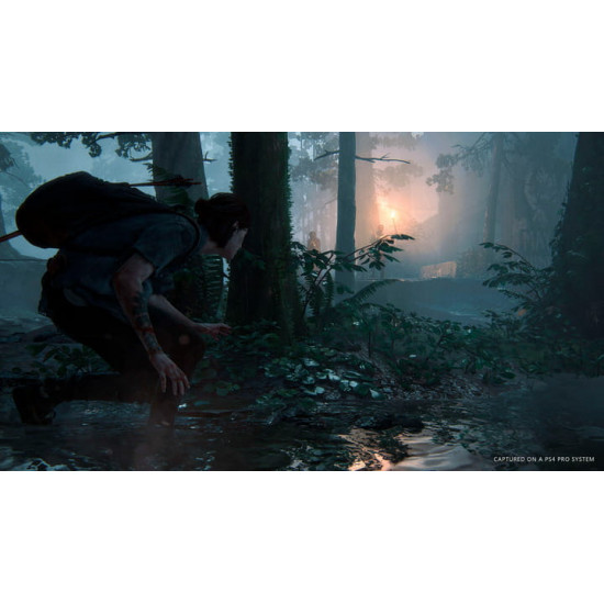 Гра The Last of us II для Sony PlayStation 4, Russian version, Blu-ray (9702092)