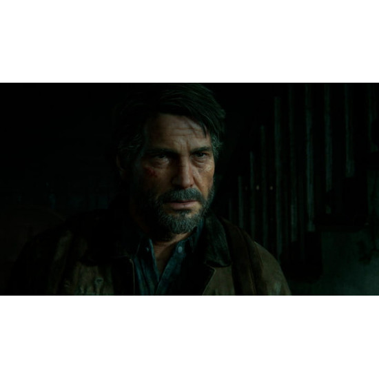 Гра The Last of us II для Sony PlayStation 4, Russian version, Blu-ray (9702092)