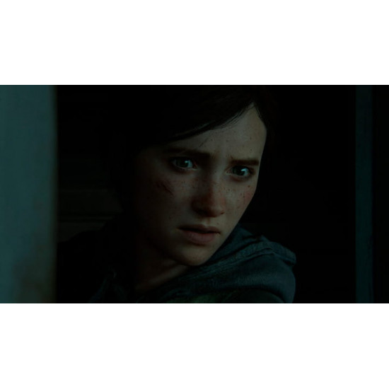 Гра The Last of us II для Sony PlayStation 4, Russian version, Blu-ray (9702092)