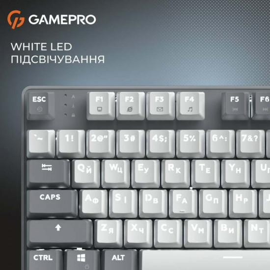 Клавіатура GamePro Genesis Metallic MK110G Outemu Red Swithes USB Gray