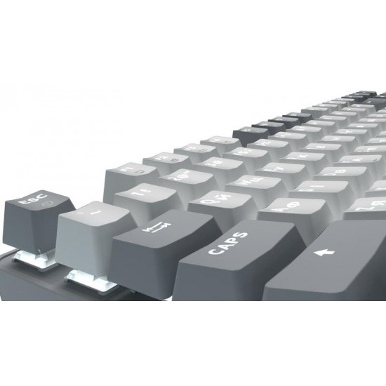 Клавіатура GamePro Genesis Metallic MK110G Outemu Red Swithes USB Gray
