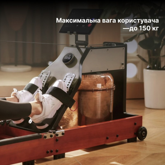Гребний тренажер KingSmith WM10 Red Oak