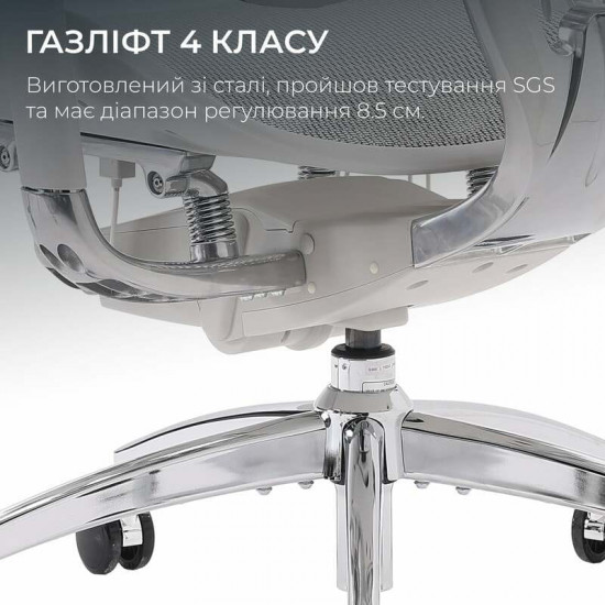 Крісло офісне Sihoo Doro S100 Mesh Black (S100-M301)