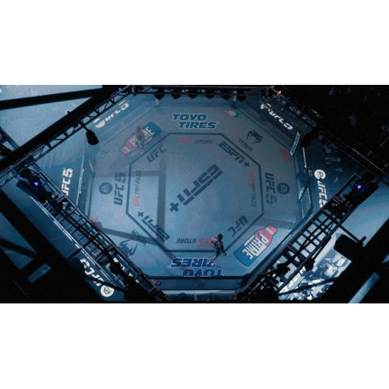 Гра EA Sports UFC5 для Sony PlayStation 5, Blu-ray (5908305248255)