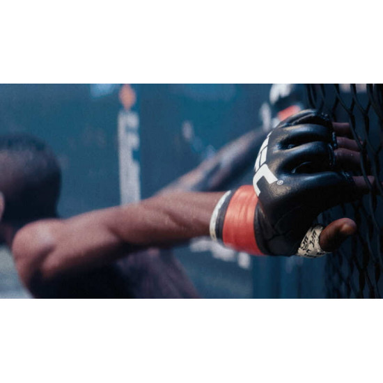 Гра EA Sports UFC5 для Sony PlayStation 5, Blu-ray (5908305248255)
